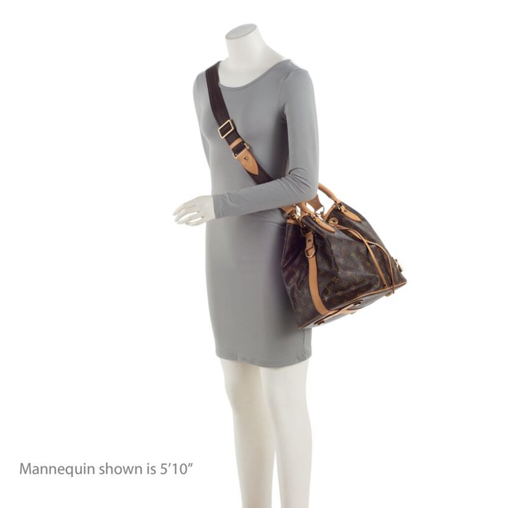 Louis Vuitton Monogram Canvas Neo Bucket Tote - Picture 5 of 15